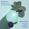 Vinofresh Desodorante Stick Natural Caudalie - Imagen 6